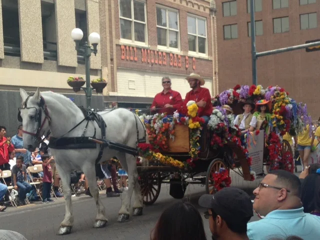 horse & wagon
